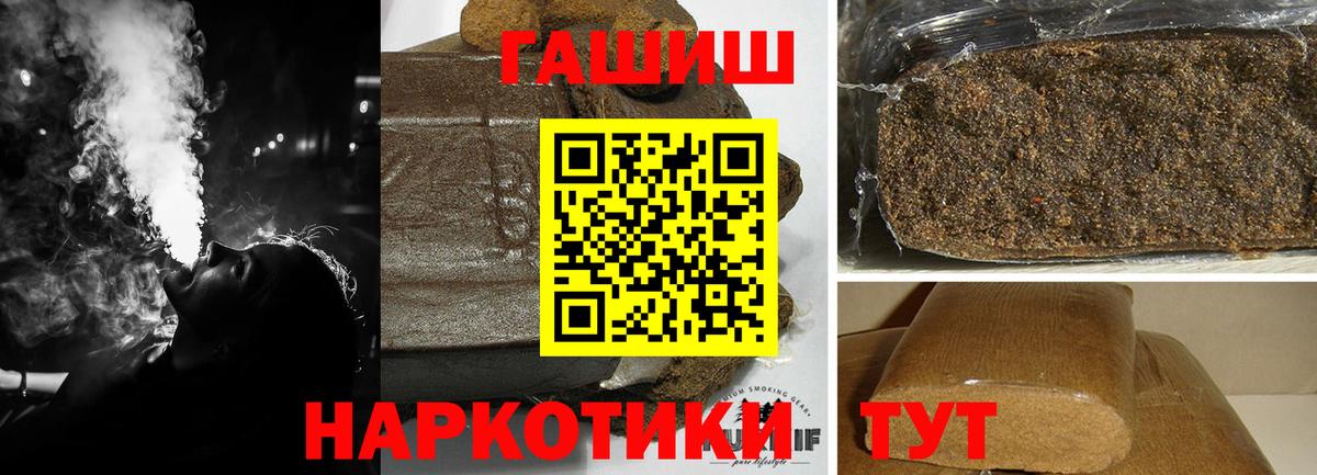 ГАШ Premium Кириши