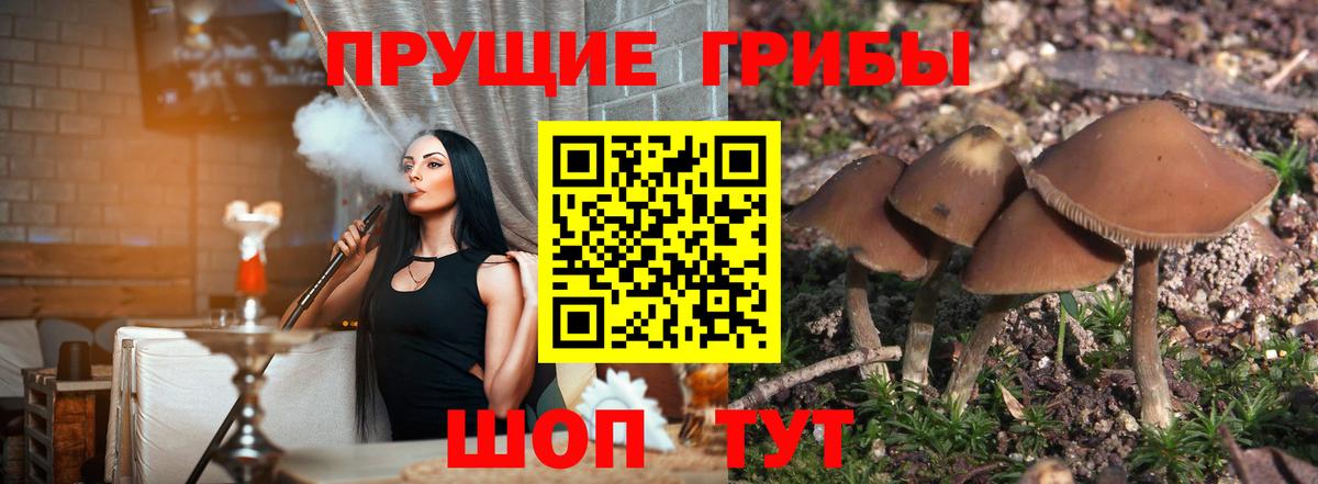 Галлюциногенные грибы прущие грибы Кириши